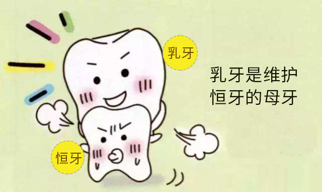 儿童吃得太精细可能造成换牙困难！
